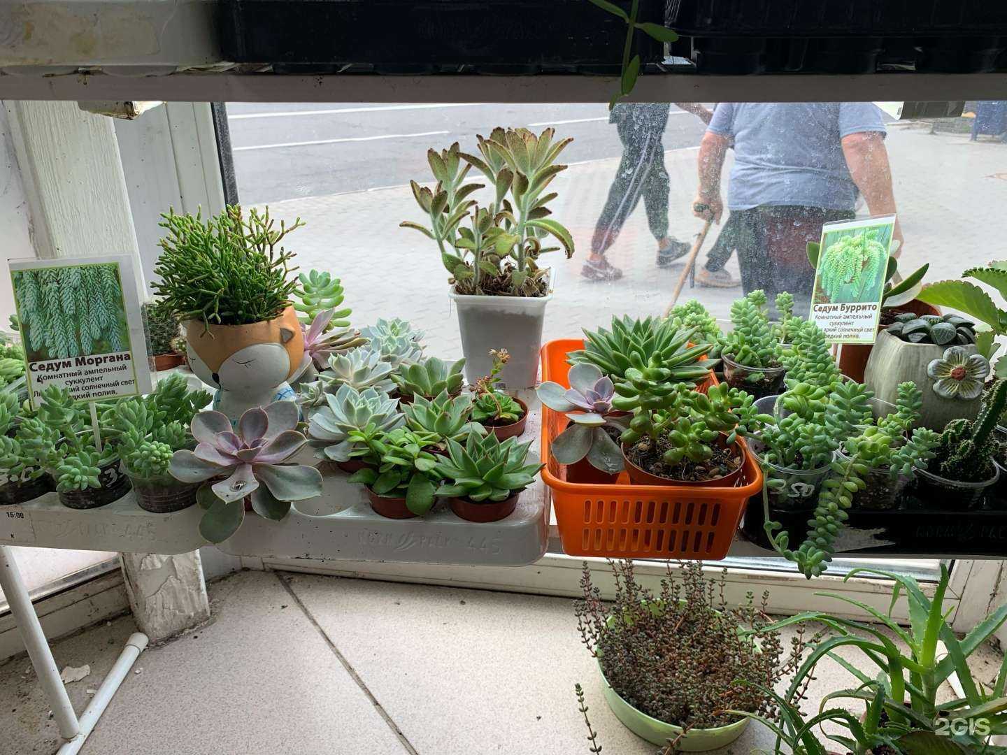 Отзывы на компанию Уникум в г. Ижевск c фото