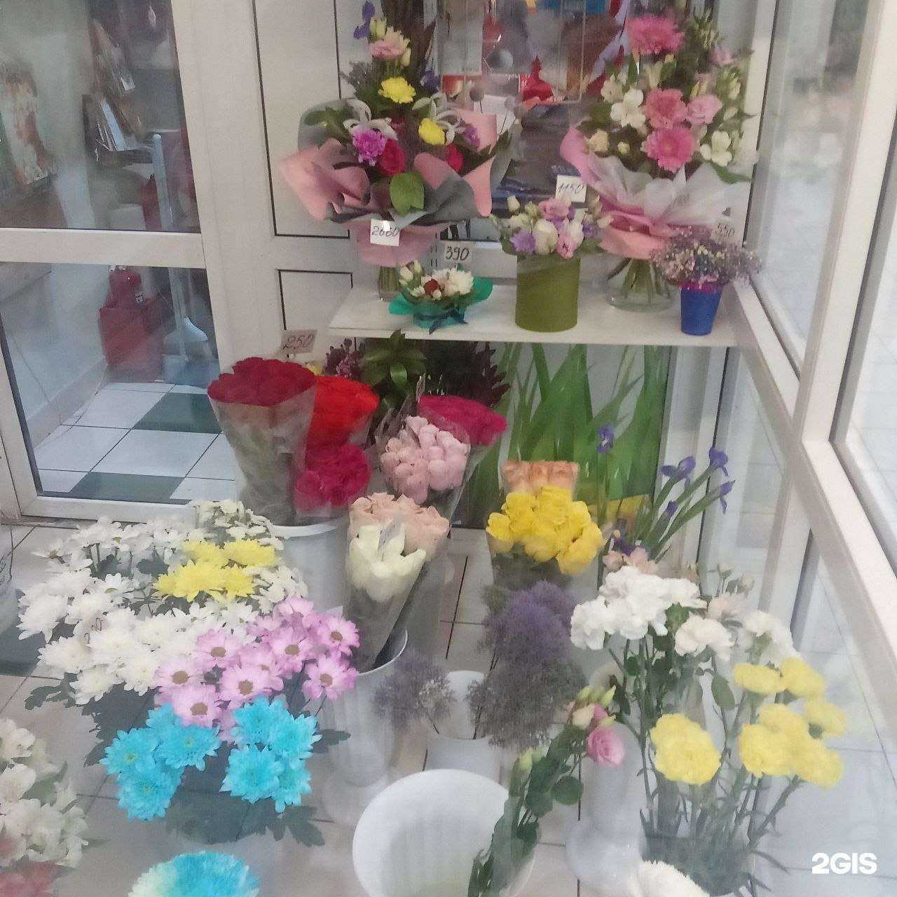 Отзывы на компанию Bloom в Тюмени c фото