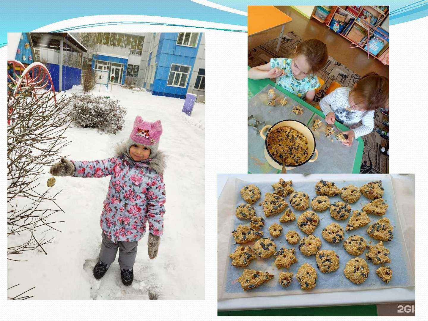 Отзывы на компанию Детский сад №239 в Новокузнецке c фото