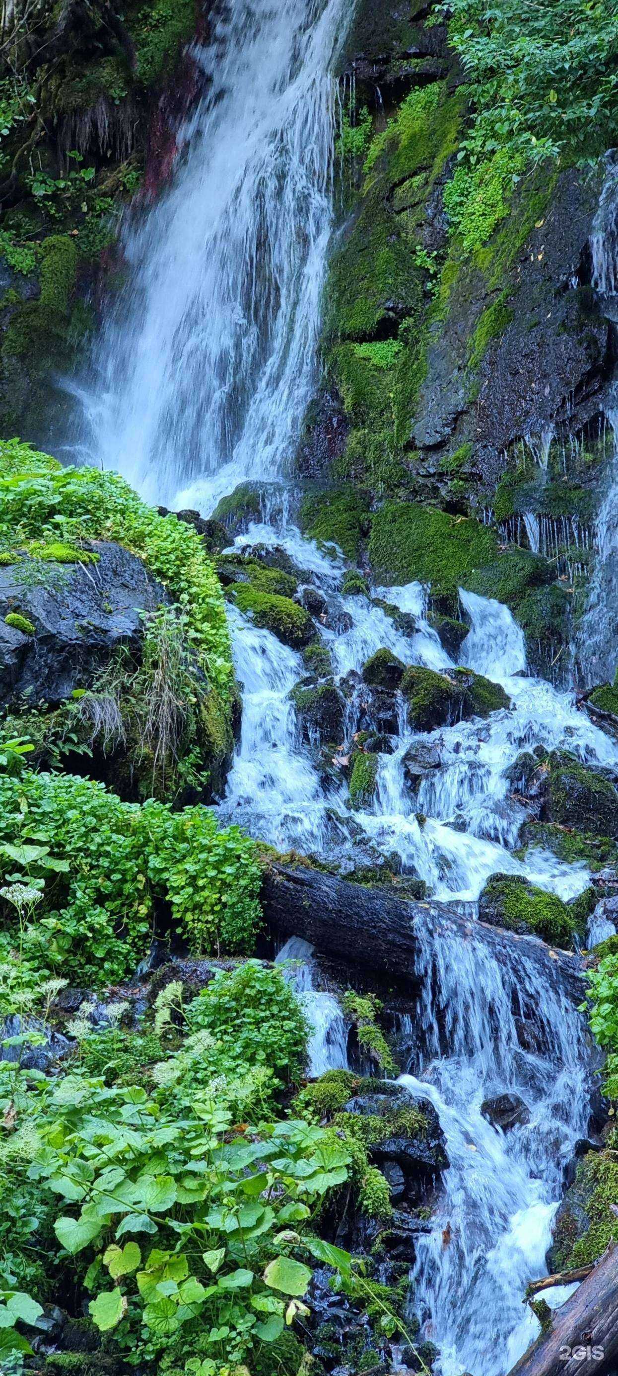 Отзывы на компанию Anex в Бийске c фото