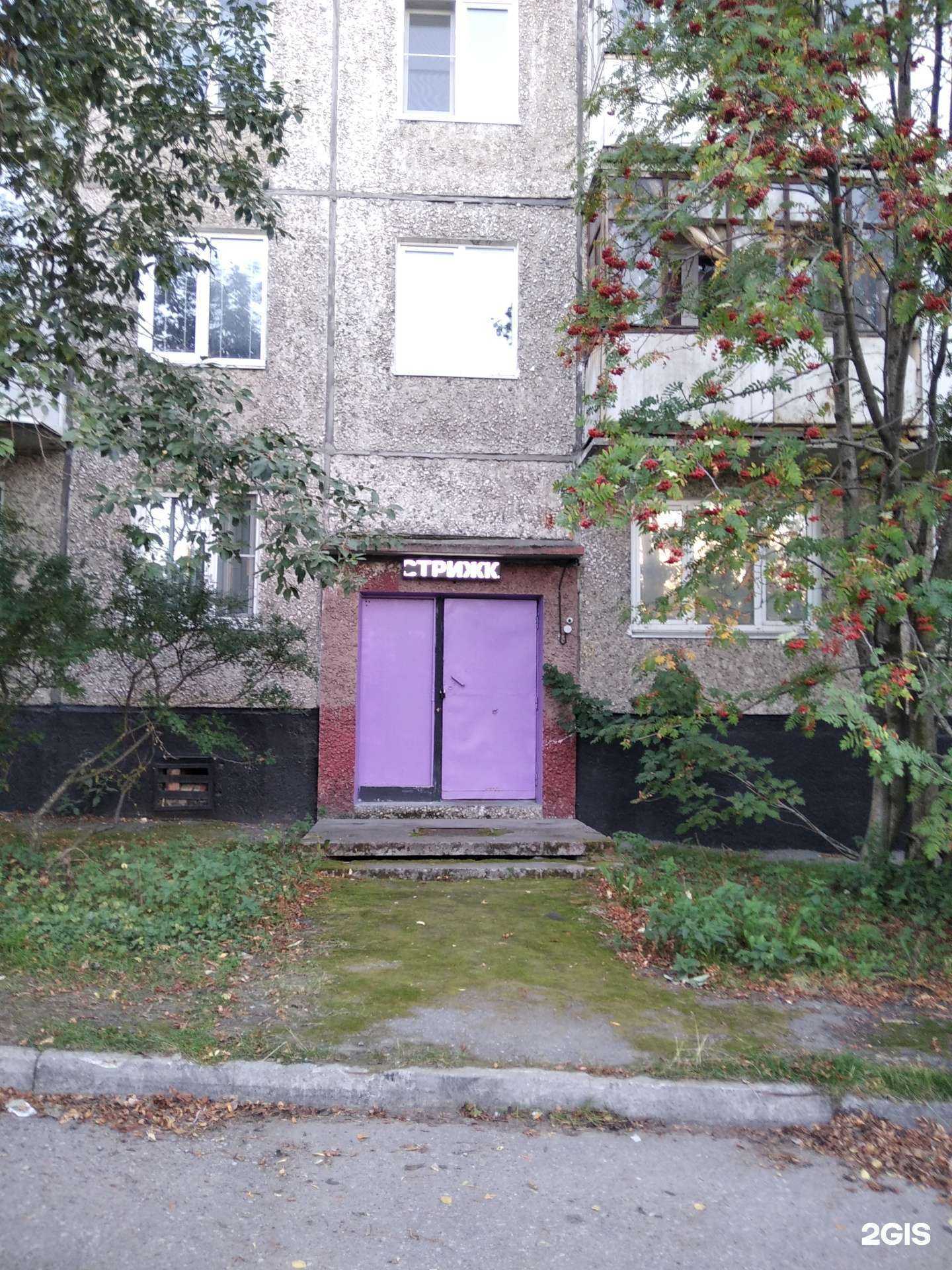 Отзывы на компанию ​Кабинет стрижки домашних животных в г. Мурманск c фото