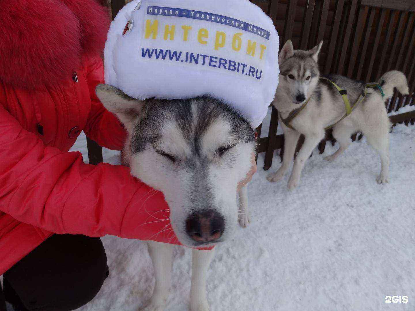 Отзывы на компанию ИнтерБИТ в г. Красноярск c фото