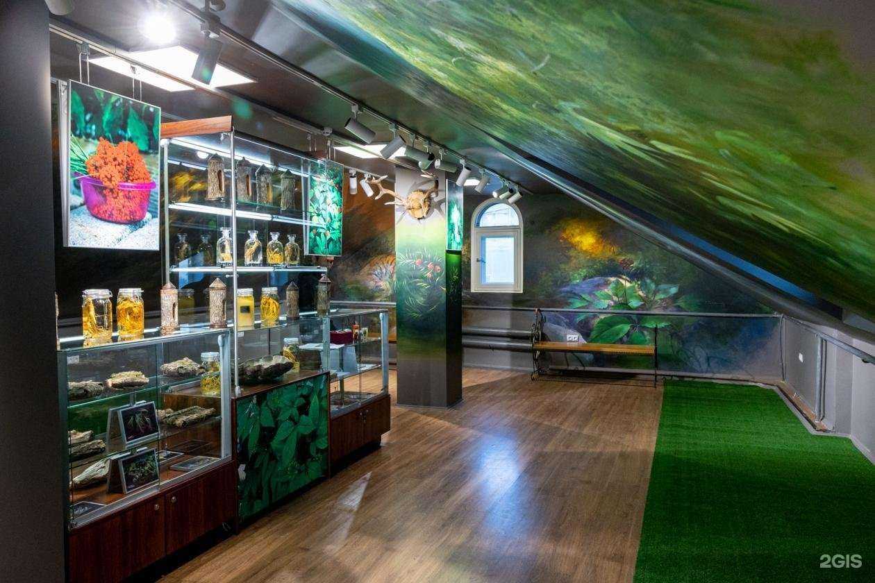 Отзывы на компанию Музей Женьшеня в г. Владивосток c фото