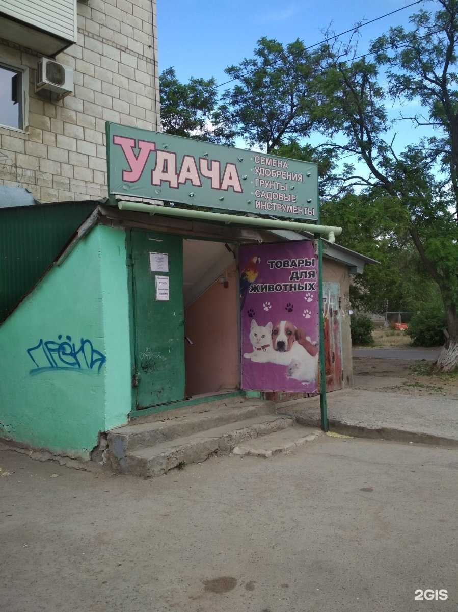 Отзывы на компанию Магазин товаров для животных в г. Волжский c фото