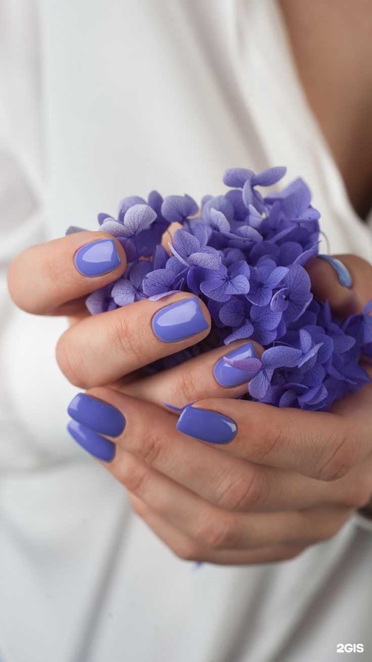 Отзывы на компанию Ezhevika в г. Ставрополь c фото