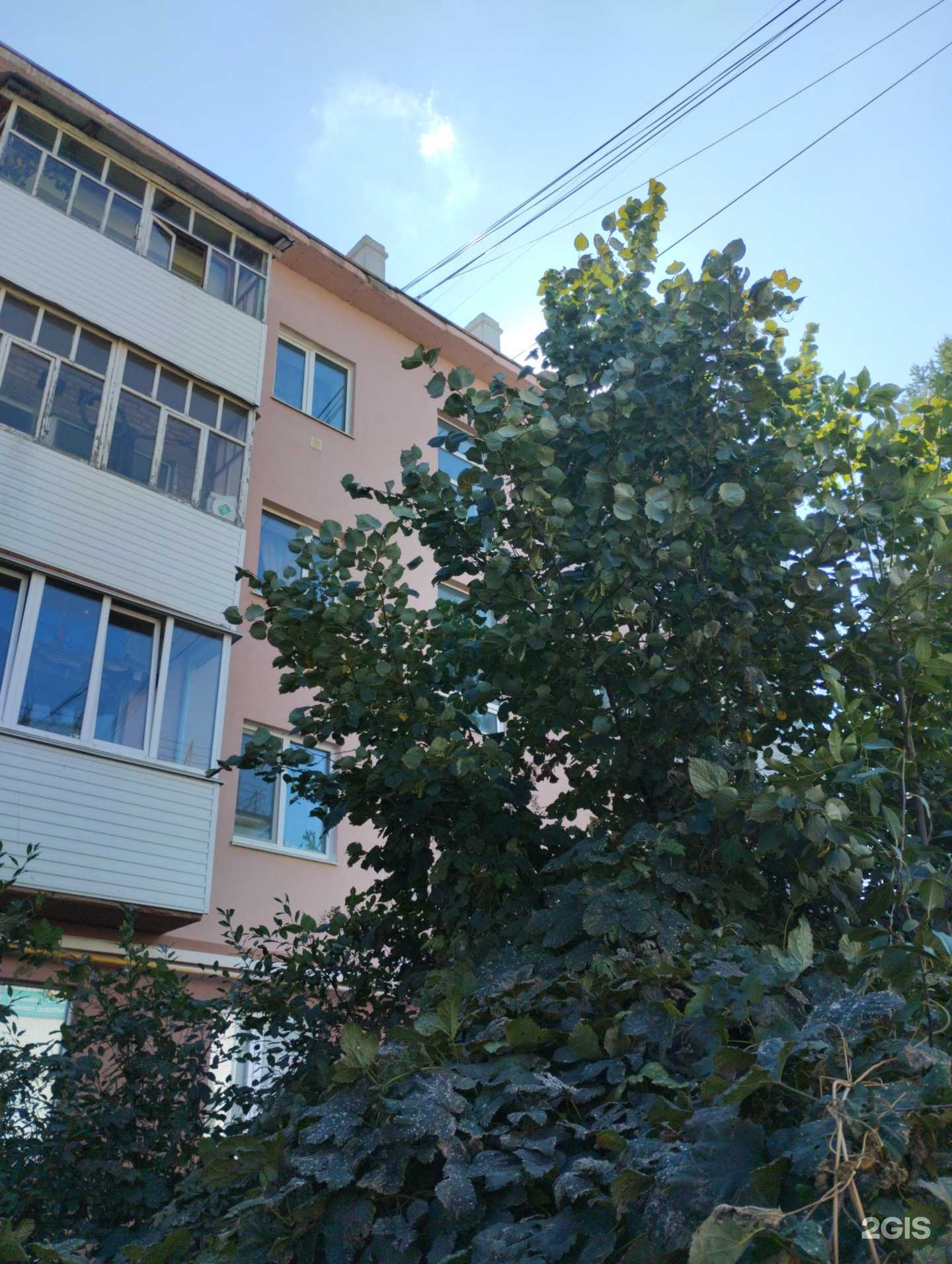 Отзывы на компанию Вита эстет в Нефтекамске c фото - фотография 2 из 2