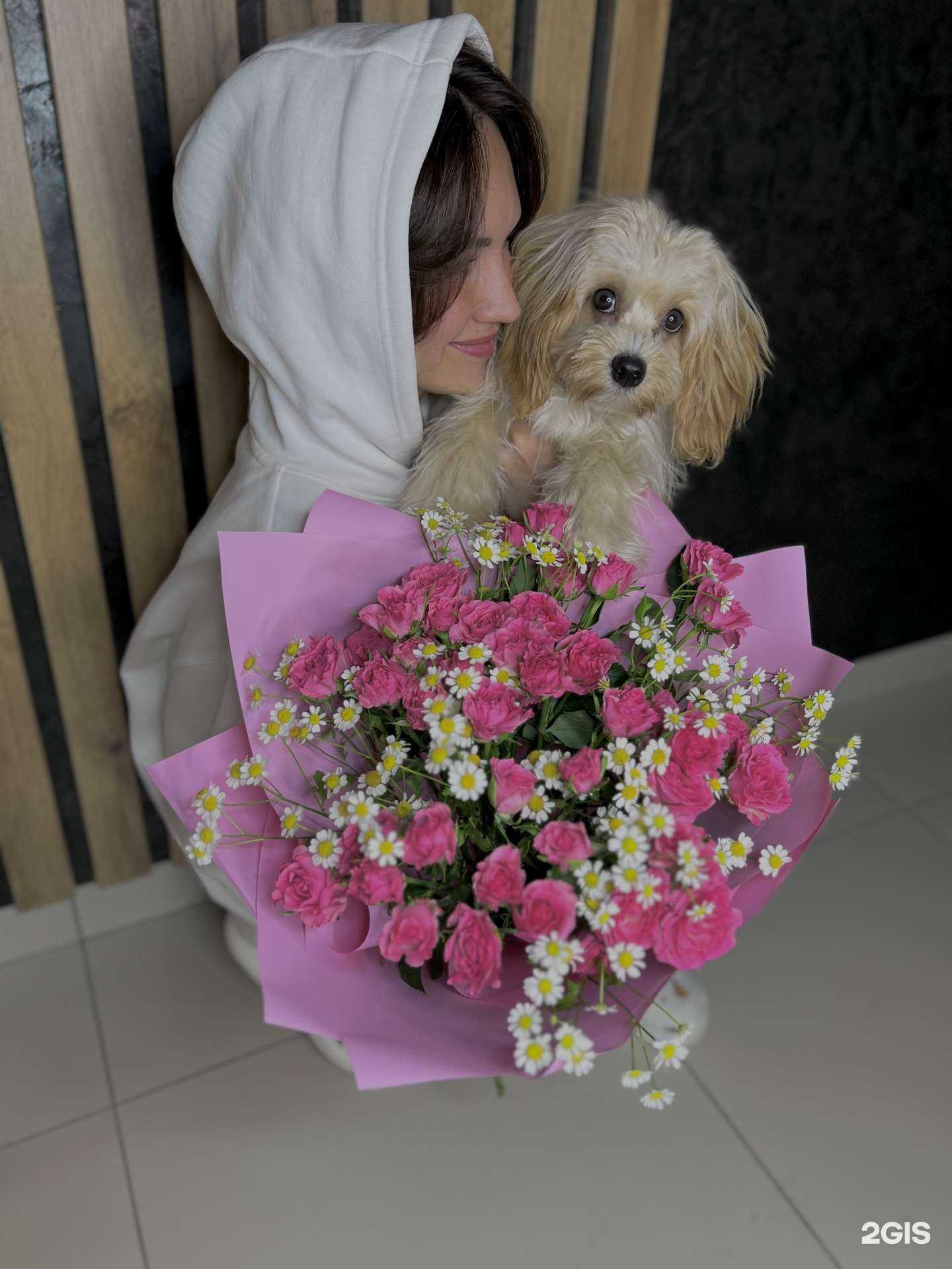 Отзывы на компанию Svezho в г. Киров c фото