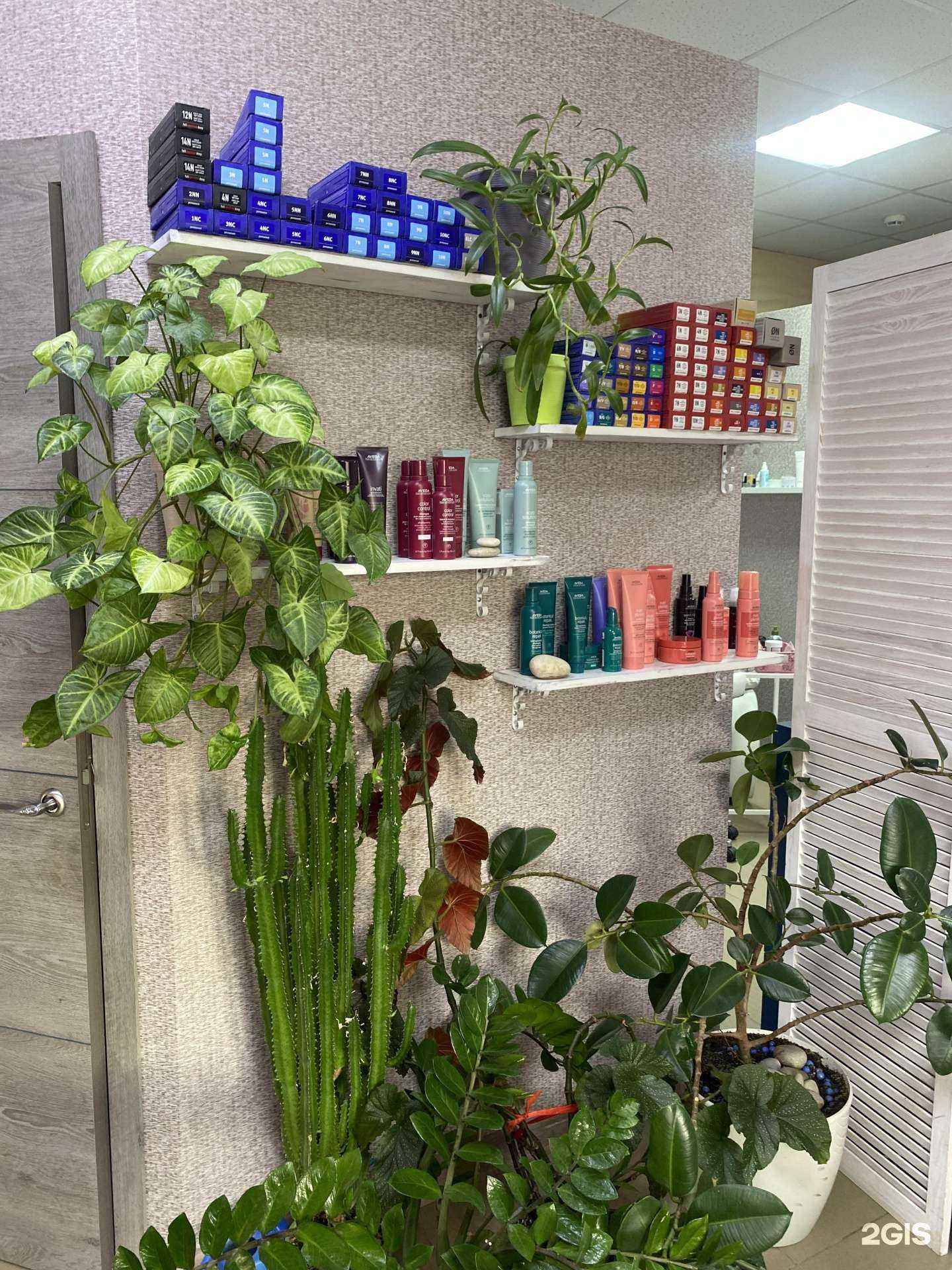 Отзывы на компанию О2 в Нижнем Новгороде c фото