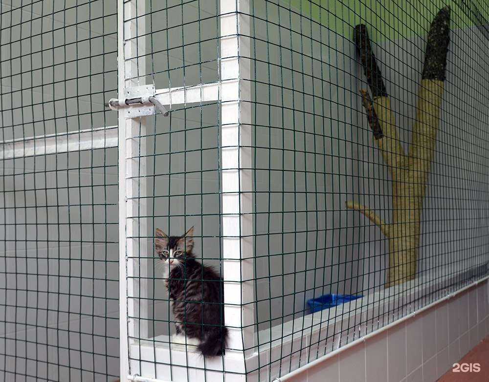 Отзывы на компанию Ветмастер в г. Бронницы c фото