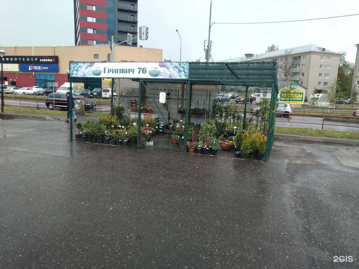 Отзывы на компанию Greenwich76 в Рыбинске c фото