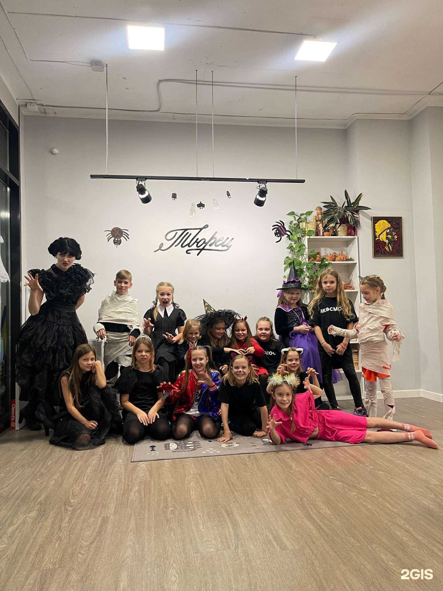 Отзывы на компанию Творец в Новосибирске c фото