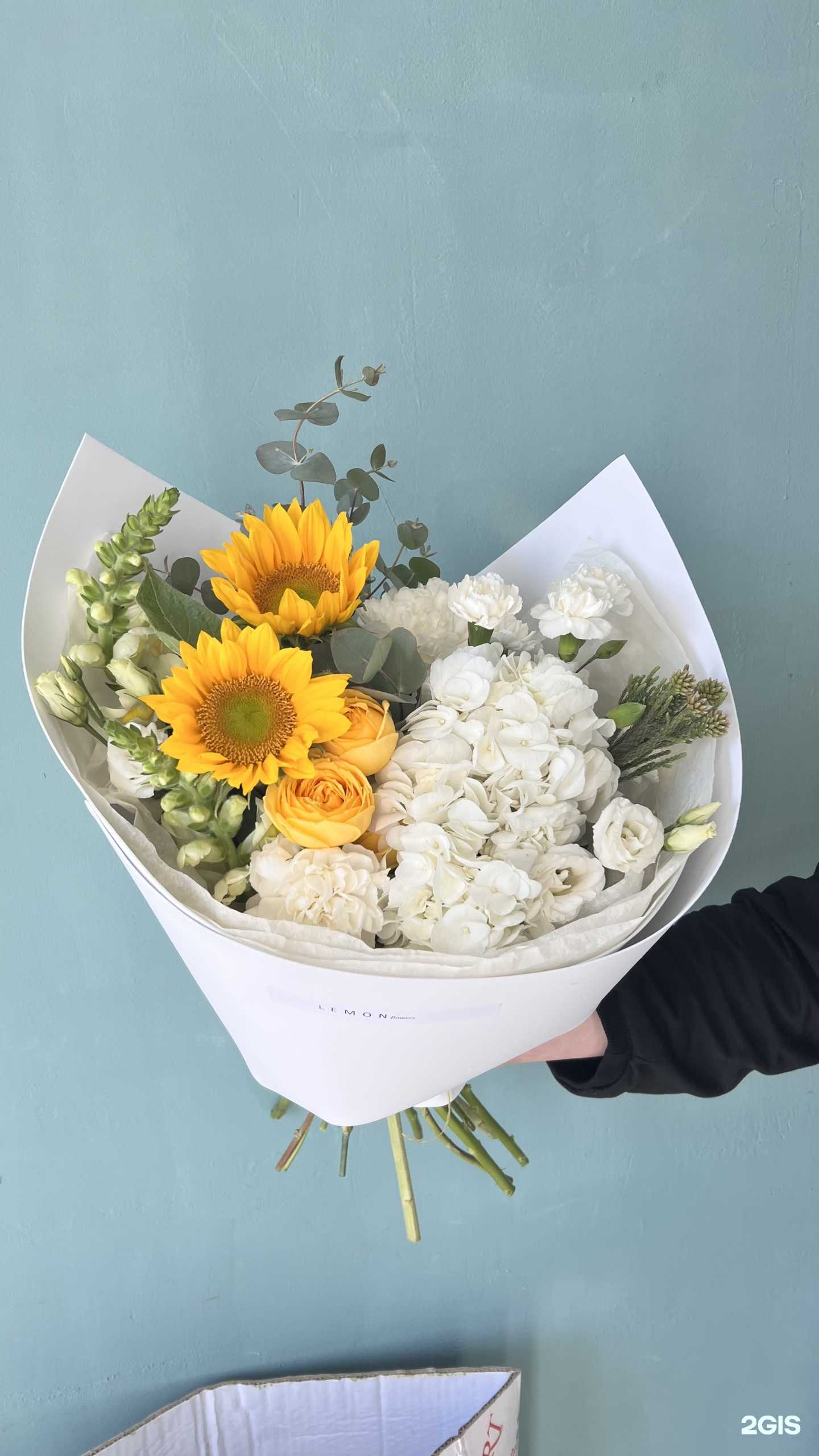 Отзывы на компанию Lemon в Екатеринбурге c фото