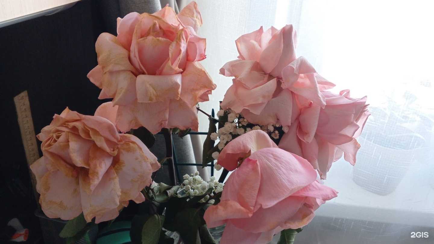 Отзывы на компанию Sakura в Туймазах c фото