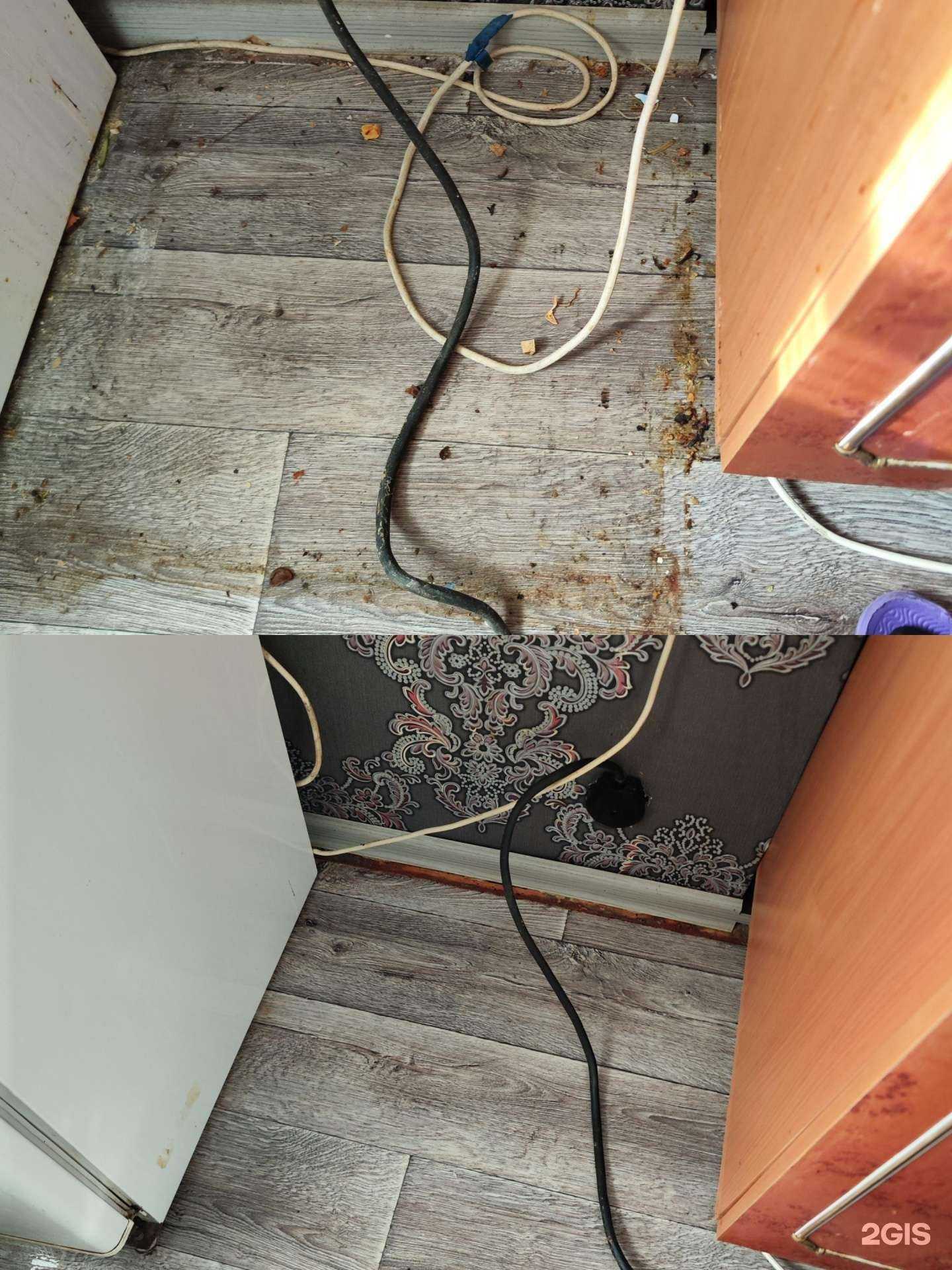 Отзывы на компанию Доктор Чистоты в г. Искитим c фото