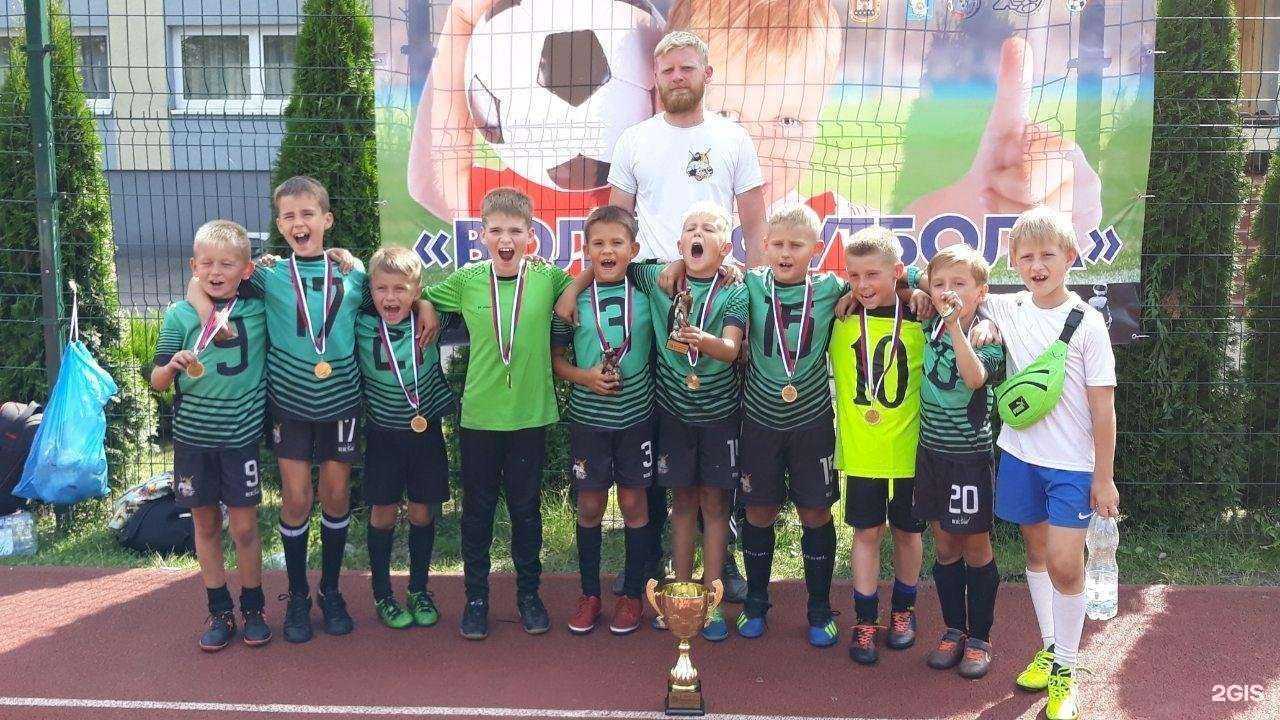 Отзывы на компанию Витязь в г. Калининград c фото