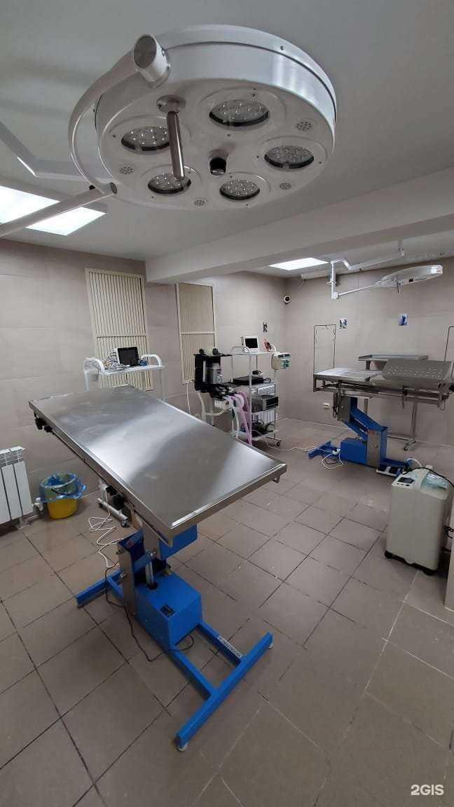 Отзывы на компанию Добрый доктор в г. Владимир c фото