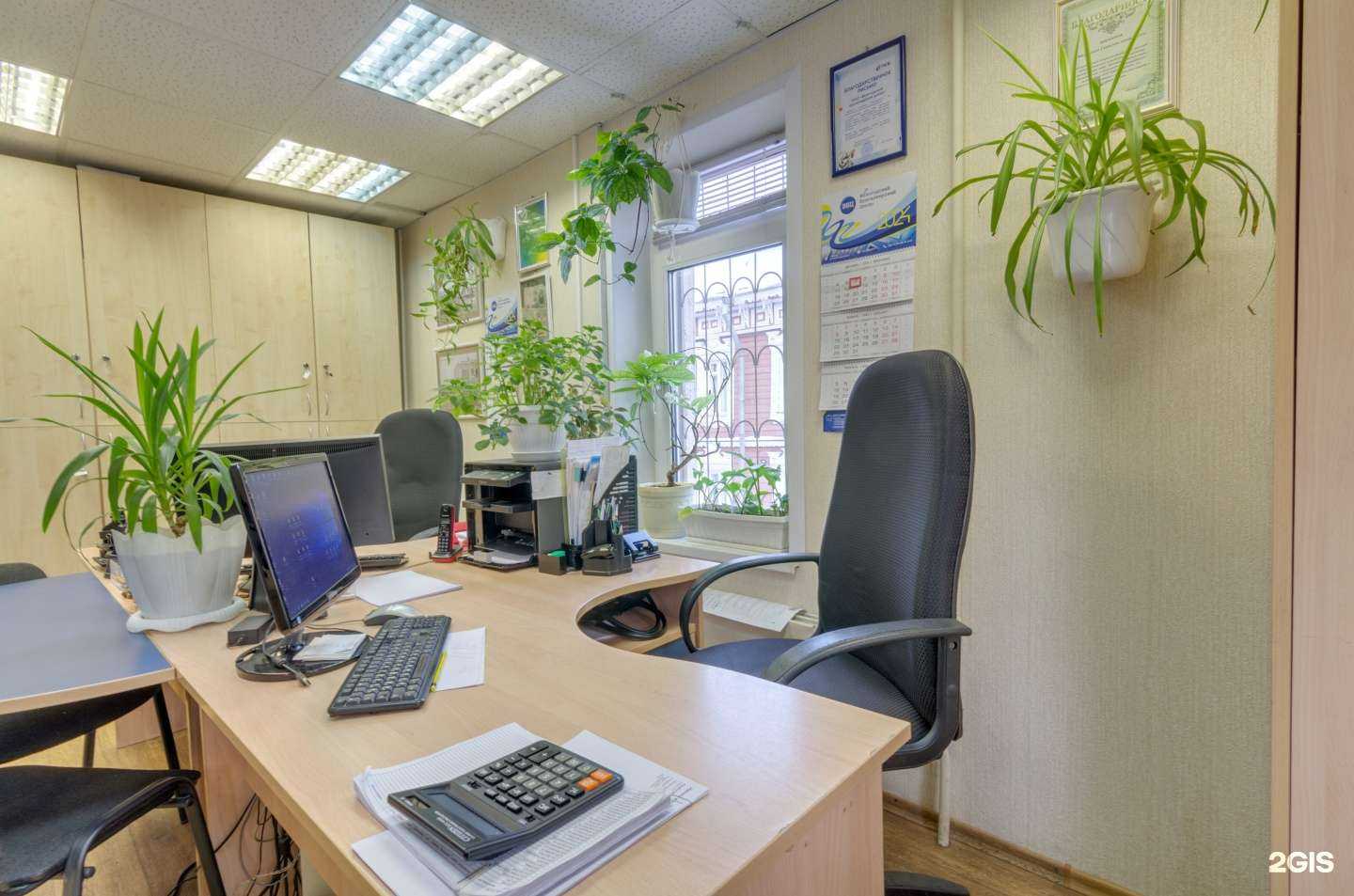 Отзывы на компанию Вологодский бухгалтерский центр в г. Вологда c фото