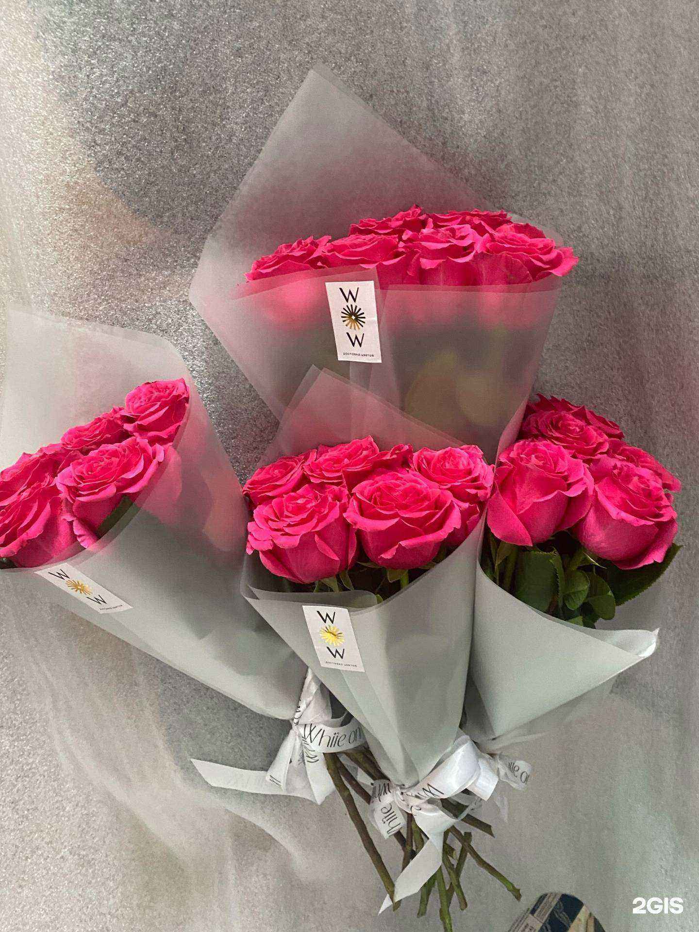 Отзывы на компанию White on white в Якутске c фото