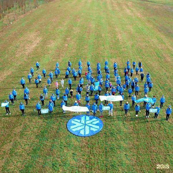 Отзывы на компанию Siberian wellness в Железногорске c фото