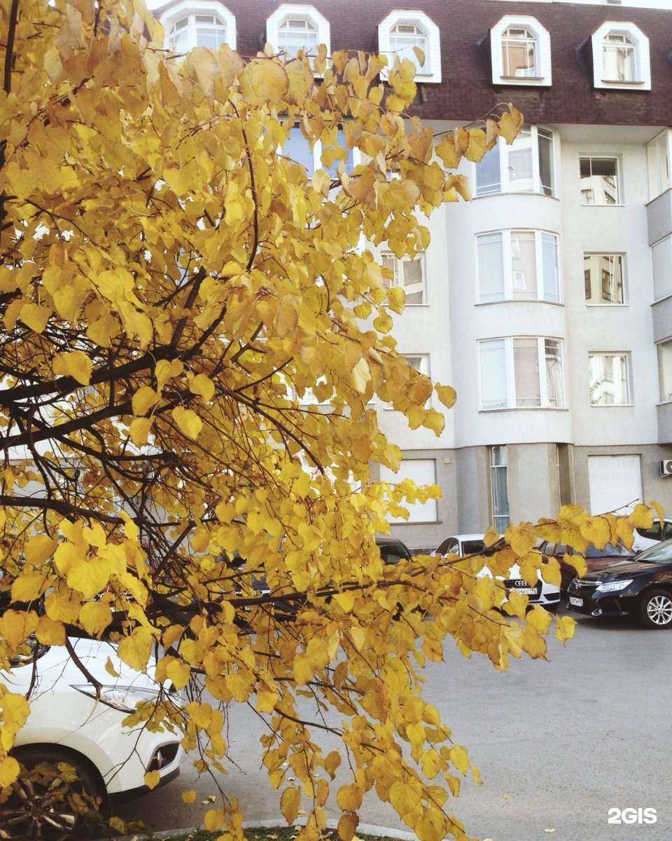 Отзывы на компанию Линлайн в Екатеринбурге c фото - фотография 2 из 2