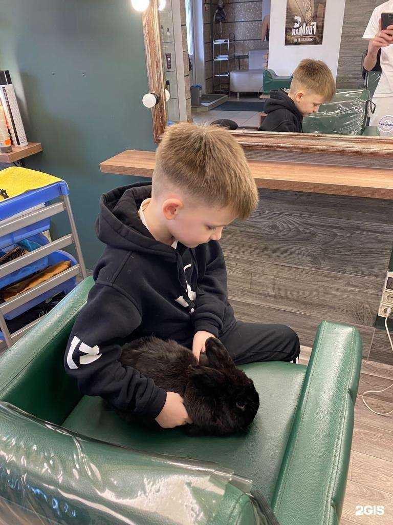 Отзывы на компанию Кудри в Красноярске c фото