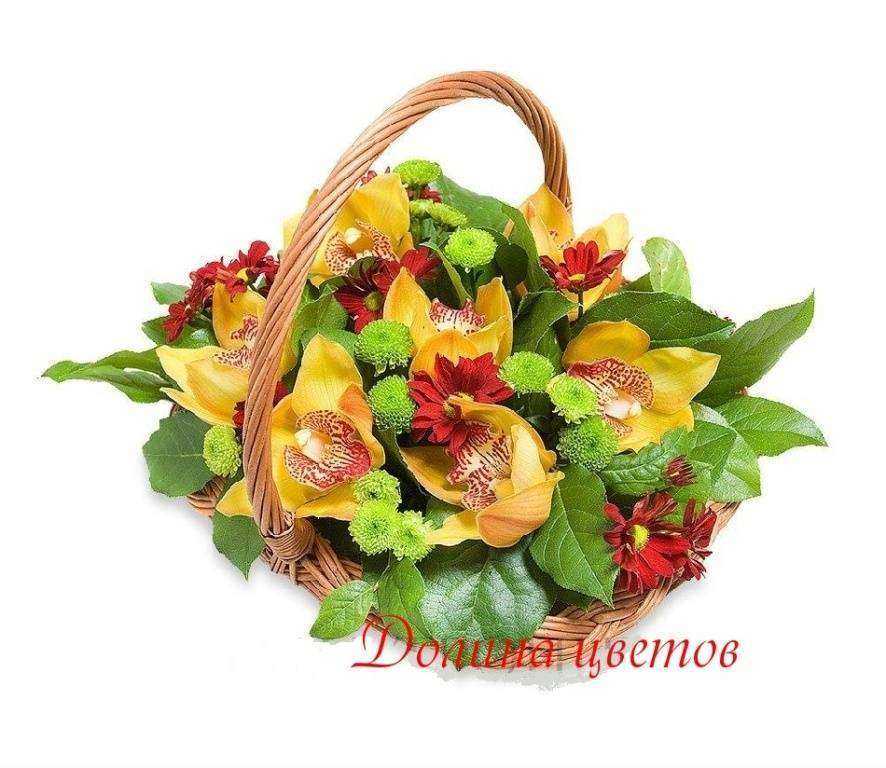 Отзывы на компанию Долина цветов в г. Нижний Тагил c фото