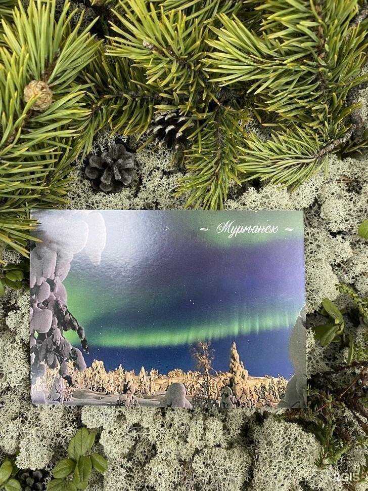 Отзывы на компанию Футболка 51 в г. Мурманск c фото