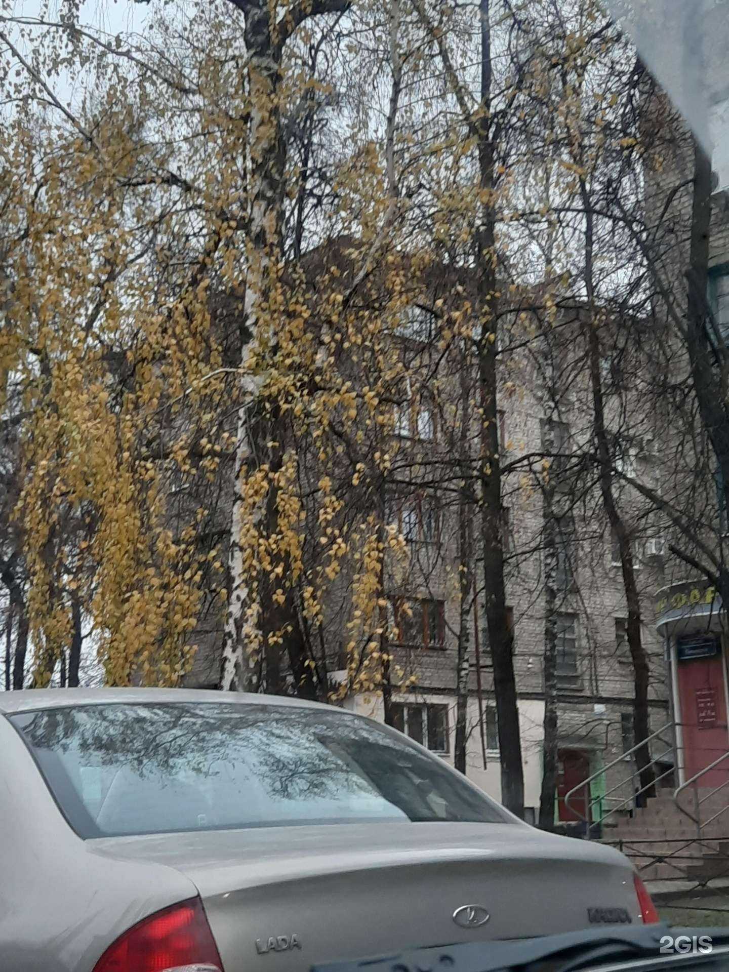 Отзывы на компанию Сакура в Воронеже c фото - фотография 2 из 2