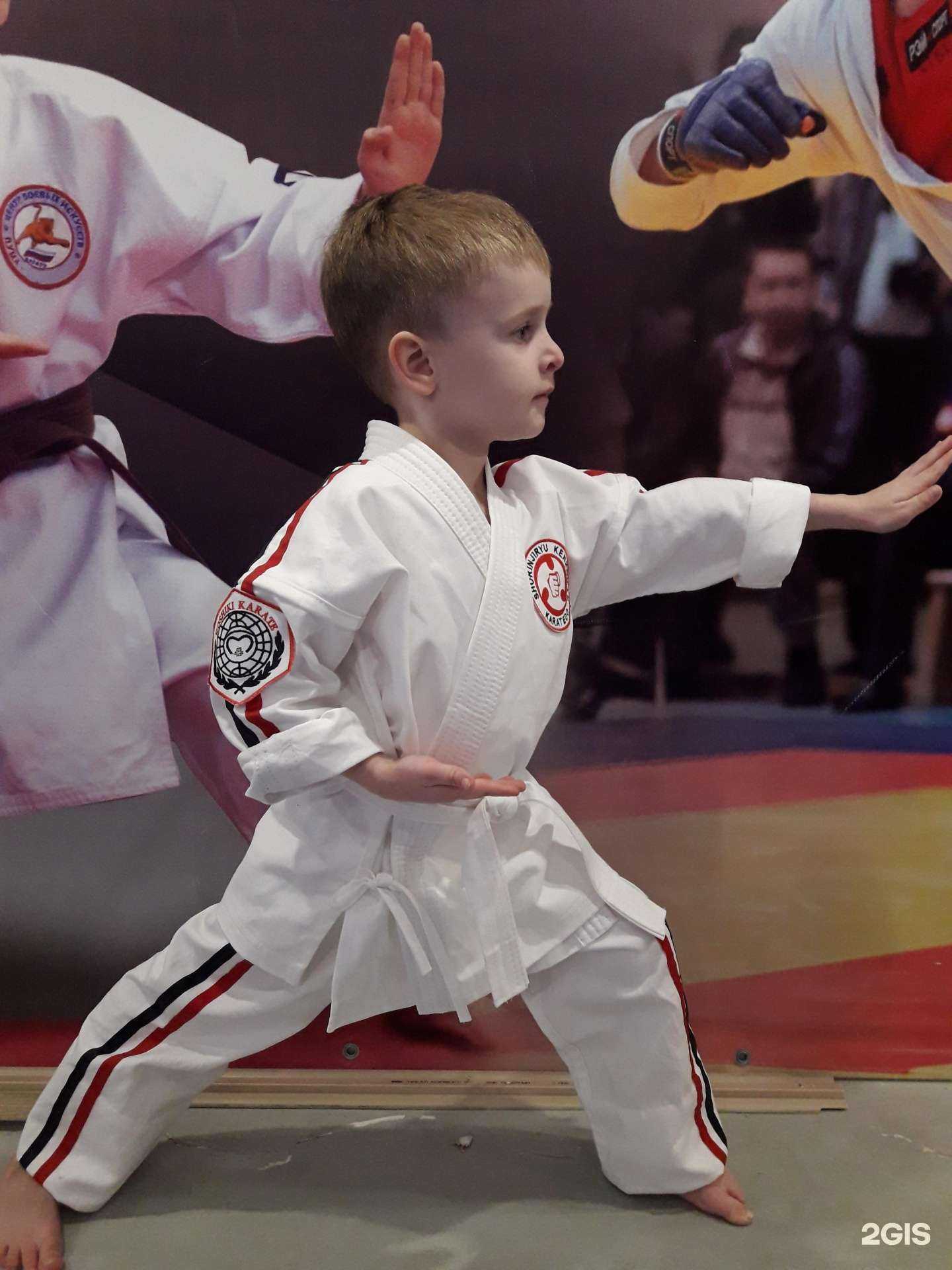 Отзывы на компанию Бусидо в Красноярске c фото