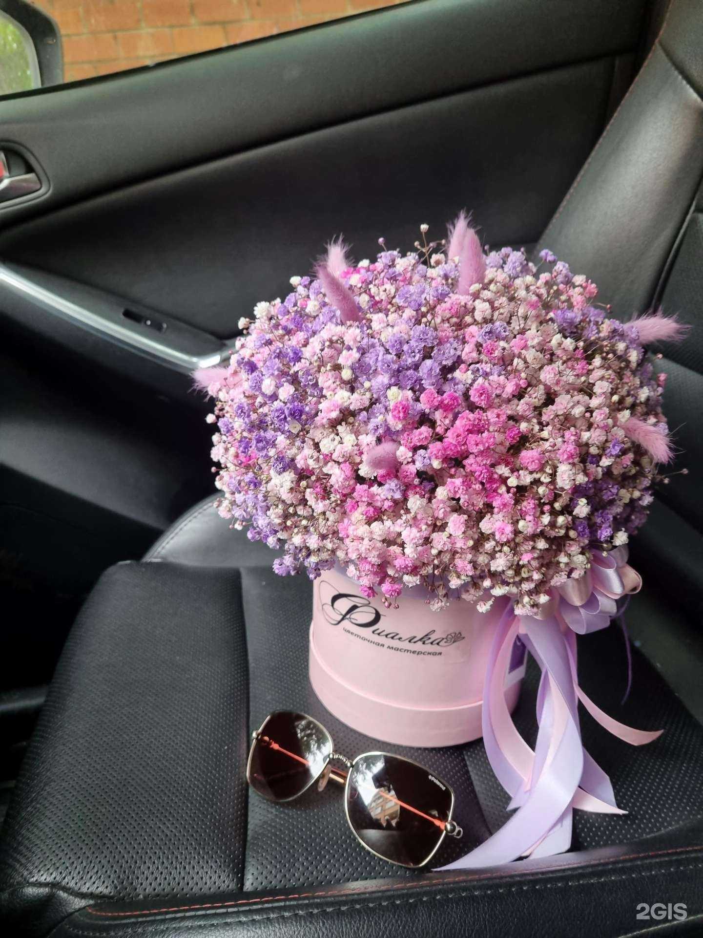 Отзывы на компанию Фиалка в Иркутске c фото