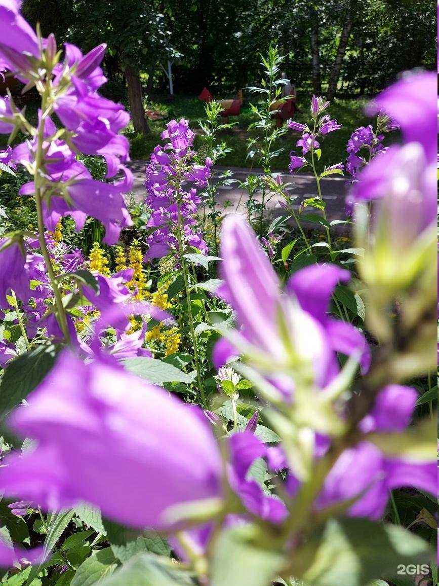 Отзывы на компанию Снежинка в г. Череповец c фото