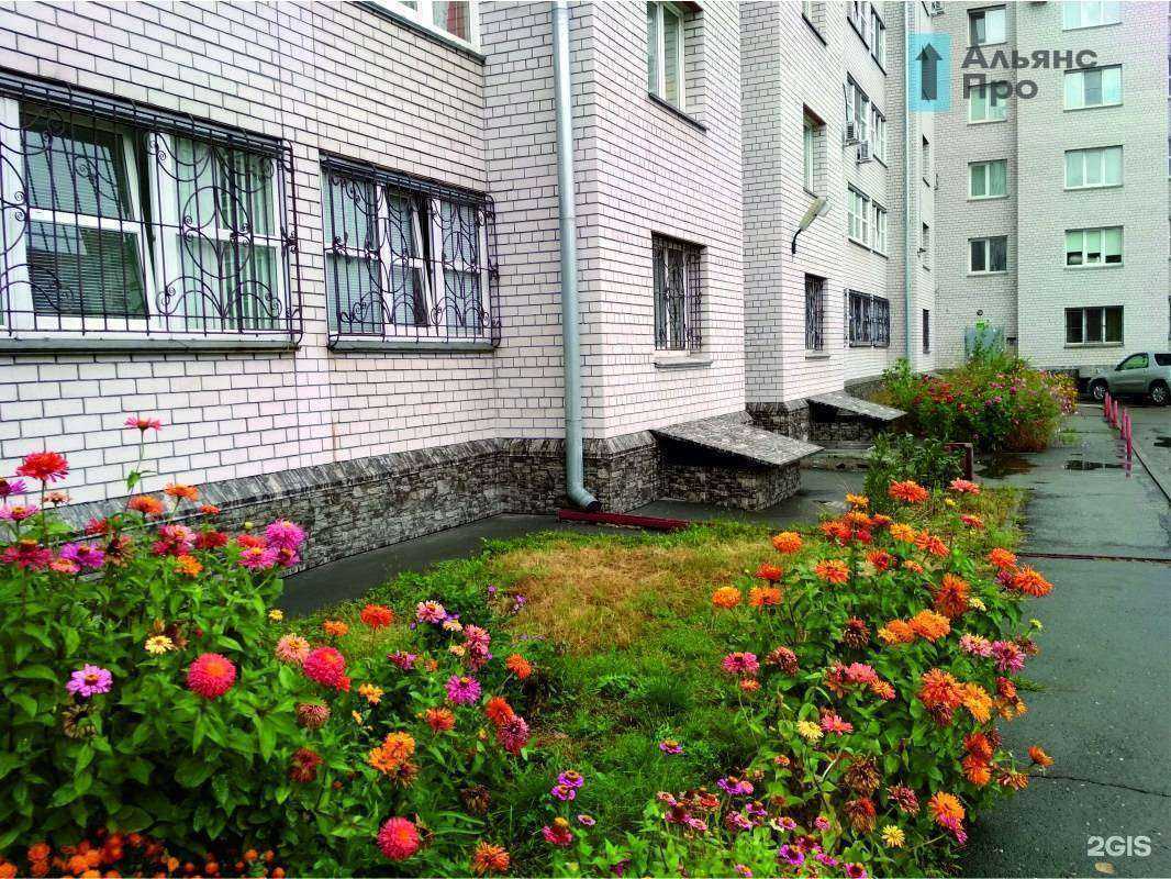 Отзывы на компанию Альянс Про в г. Барнаул c фото