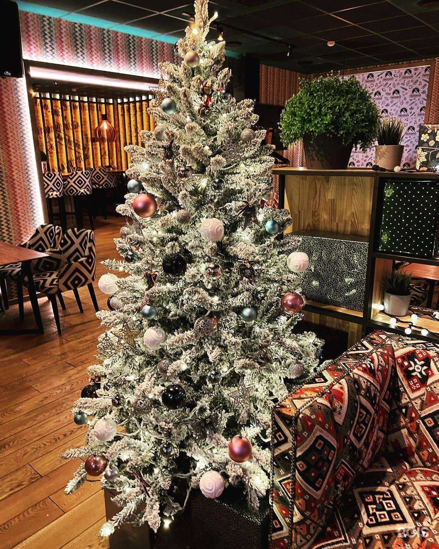 Отзывы на компанию Гамарджоба в г. Апатиты c фото