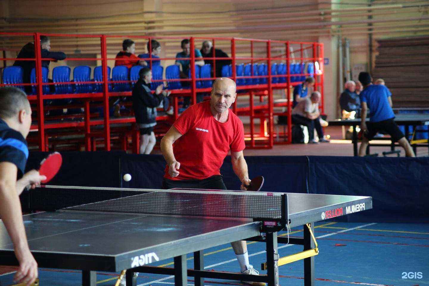 Отзывы на компанию Tennis57.ru в г. Орёл c фото