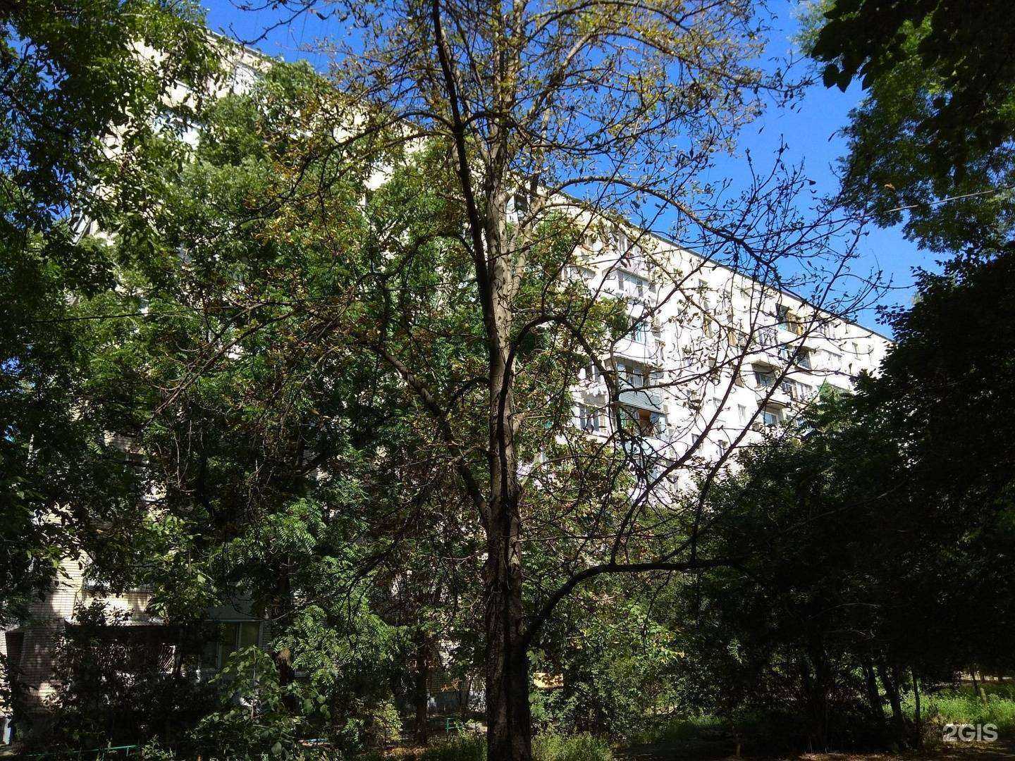 Отзывы на компанию Адвокатский кабинет Баяновой Н.С. в г. Краснодар c фото