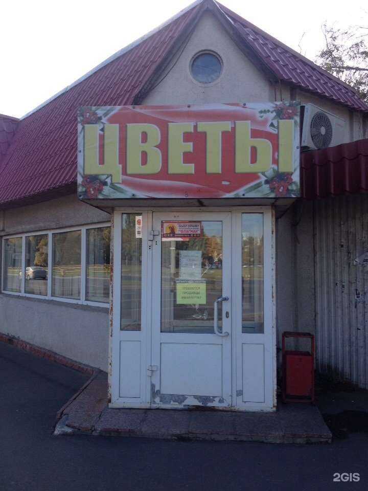 Отзывы на компанию Магазин цветов в г. Тольятти c фото