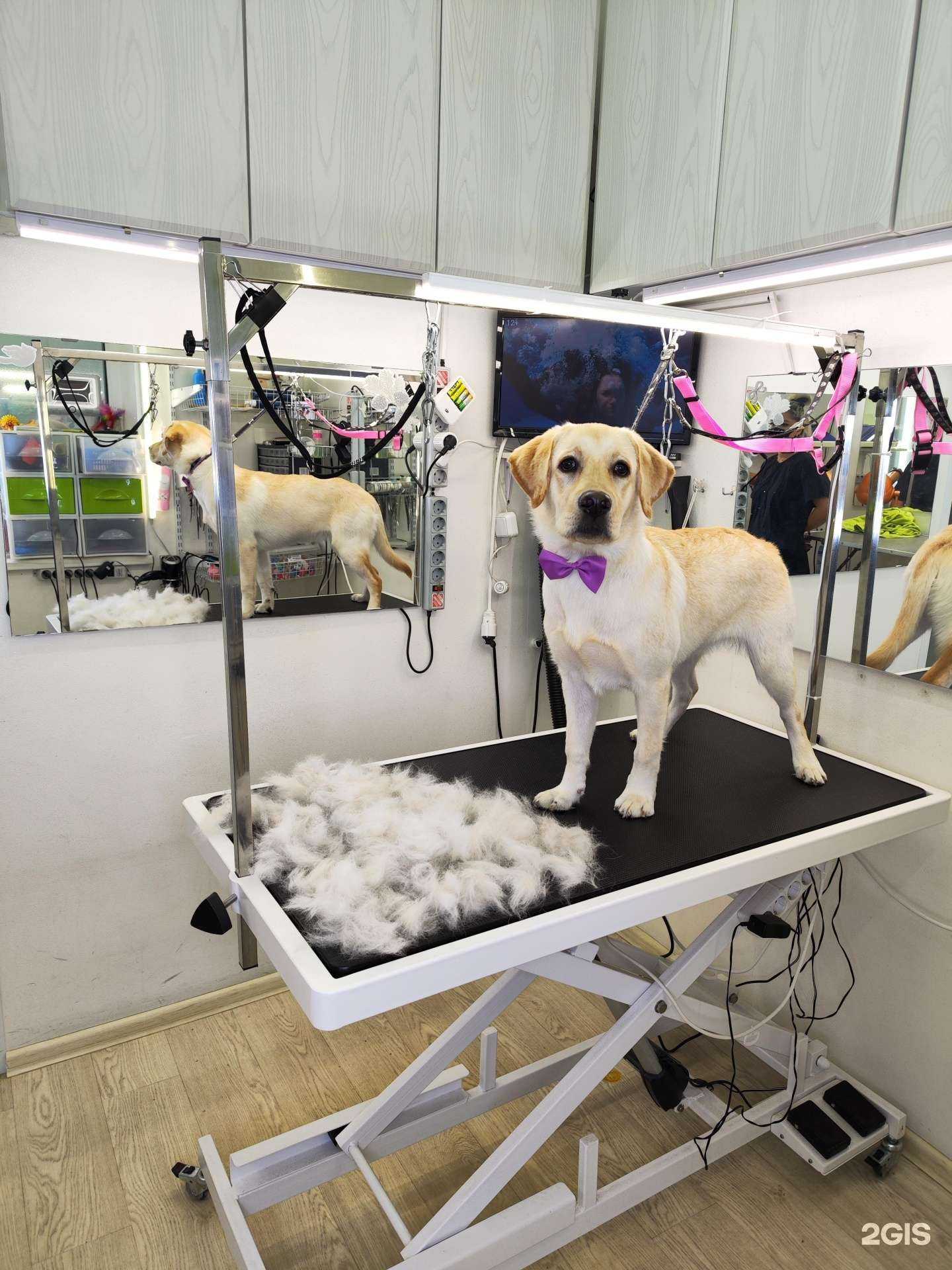 Отзывы на компанию Фенечка в Электроугли c фото