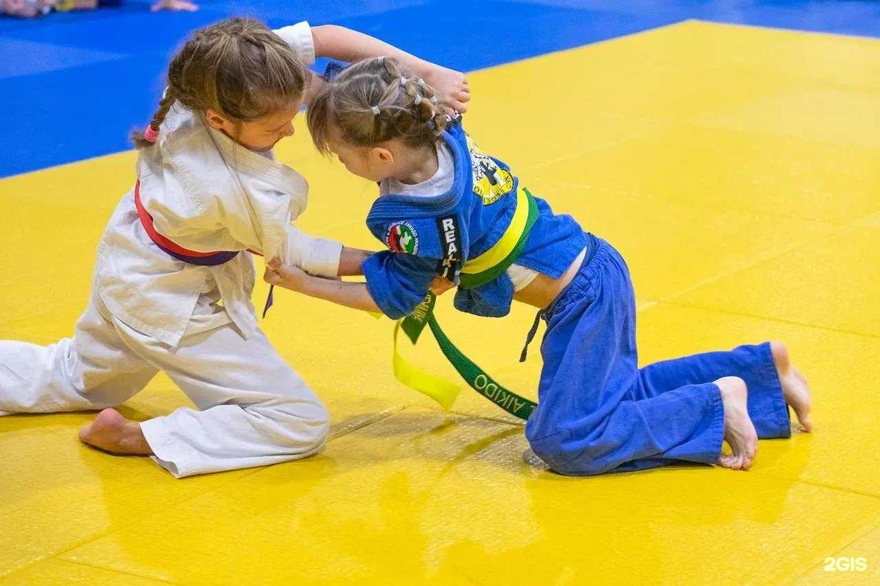 Отзывы на компанию Академия реального айкидо в Казани c фото