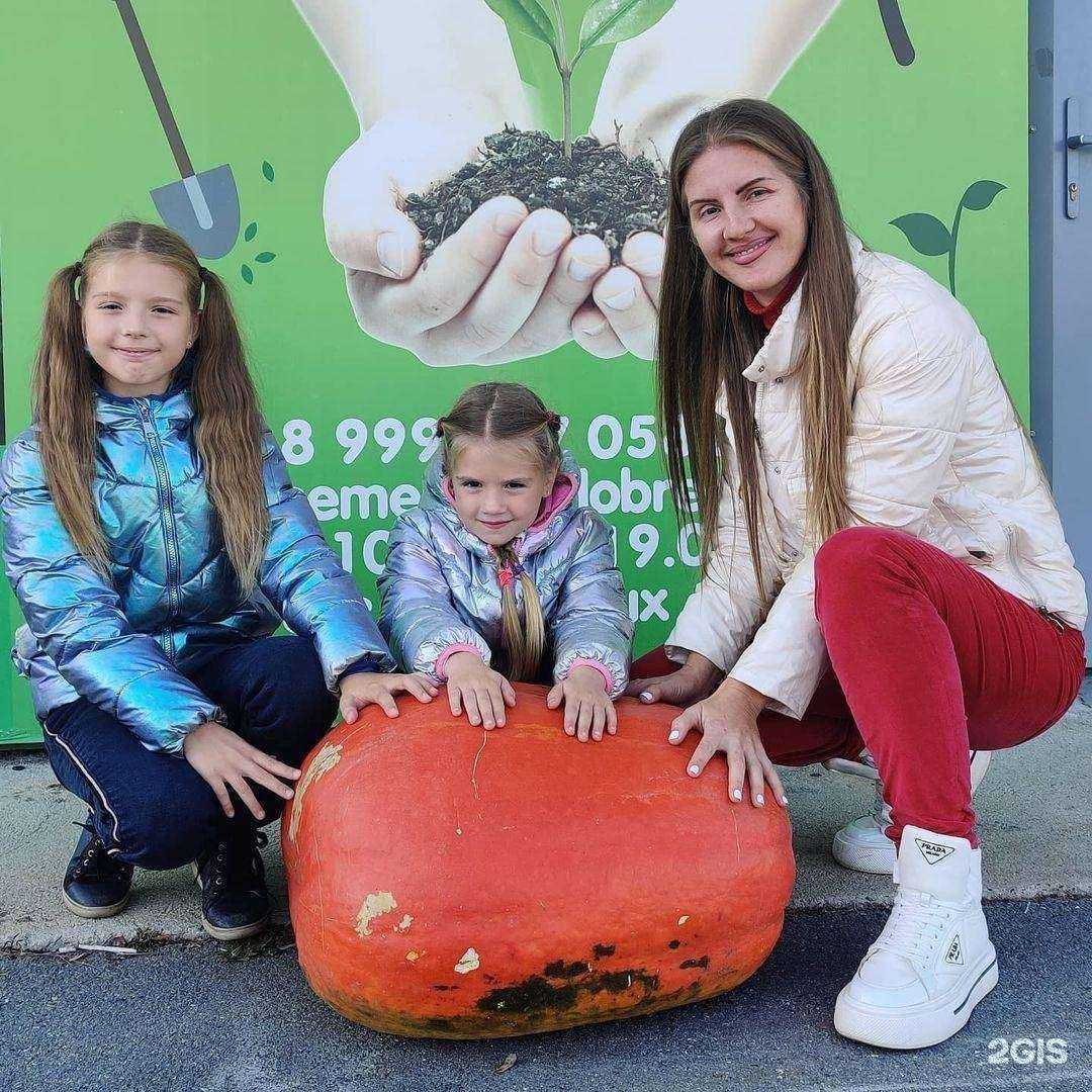 Отзывы на компанию Магазин семян и удобрений в Находке c фото