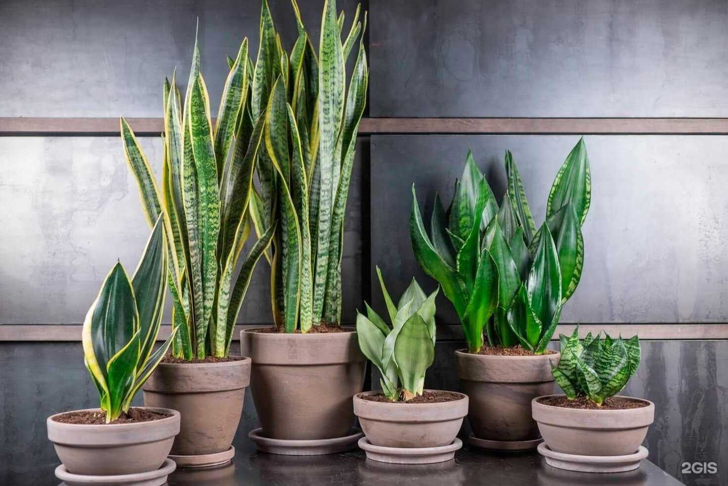 Отзывы на компанию Талея в г. Киров c фото