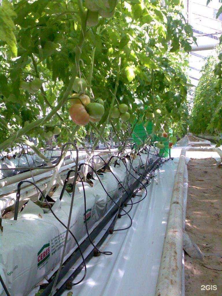 Отзывы на компанию Сфера-строй в Волжском c фото