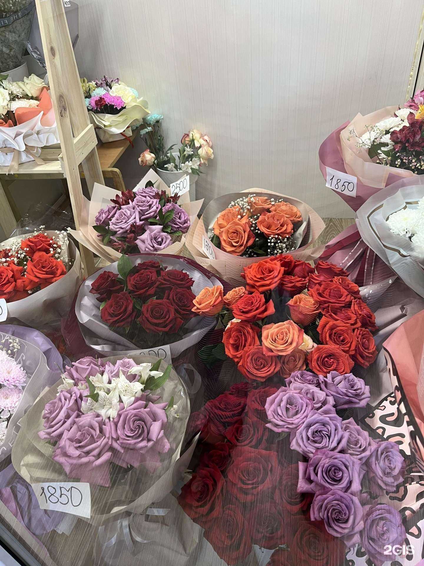 Отзывы на компанию Дом цветов  в Кызыле c фото