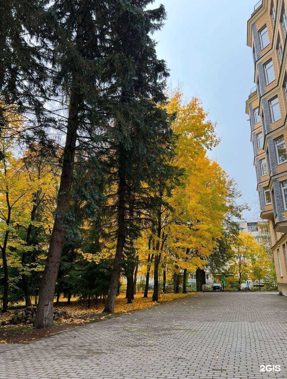 Отзывы на компанию Luxio в Конакове c фото