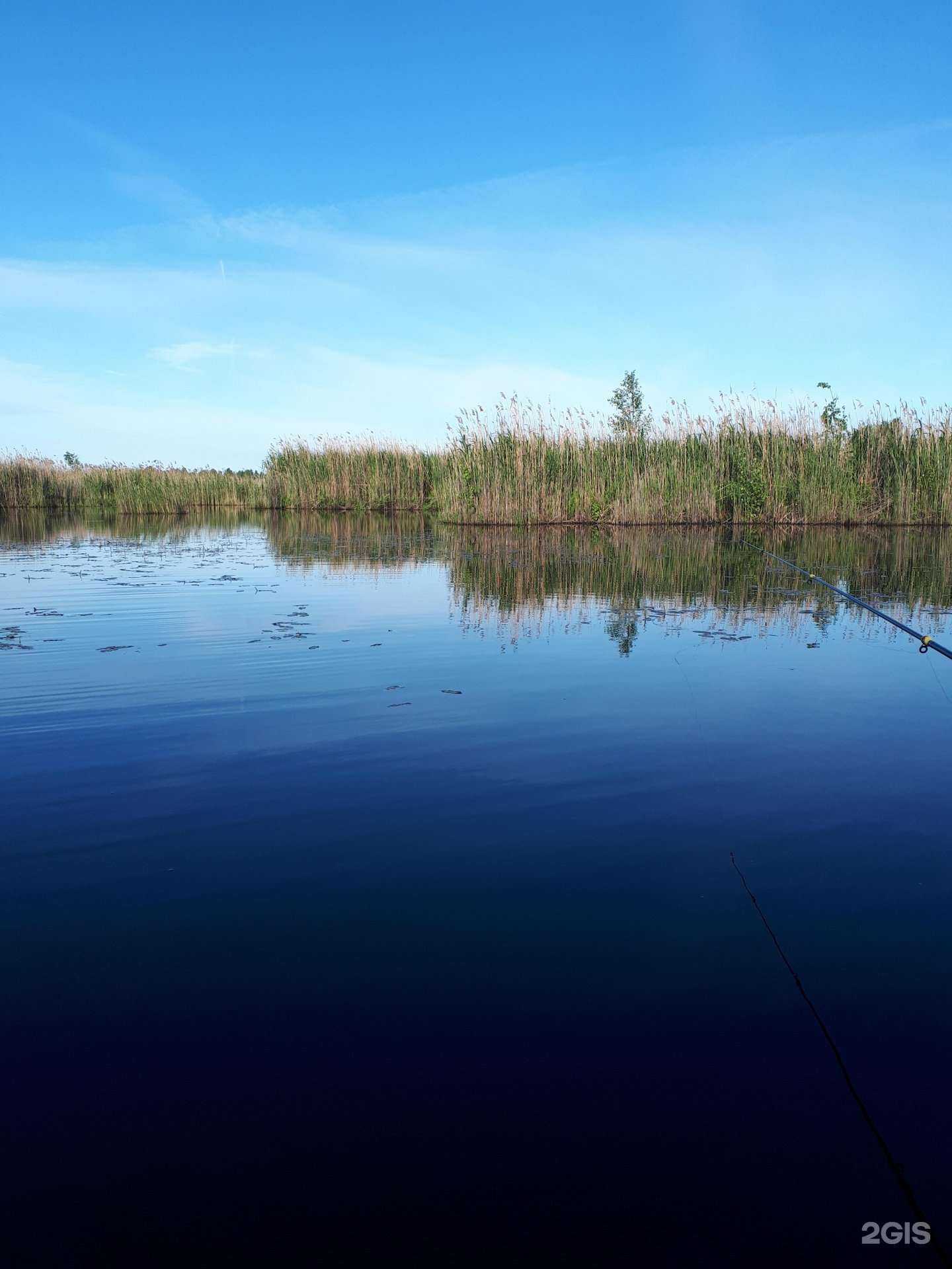 Отзывы на компанию Щукарь в г. Ярославль c фото