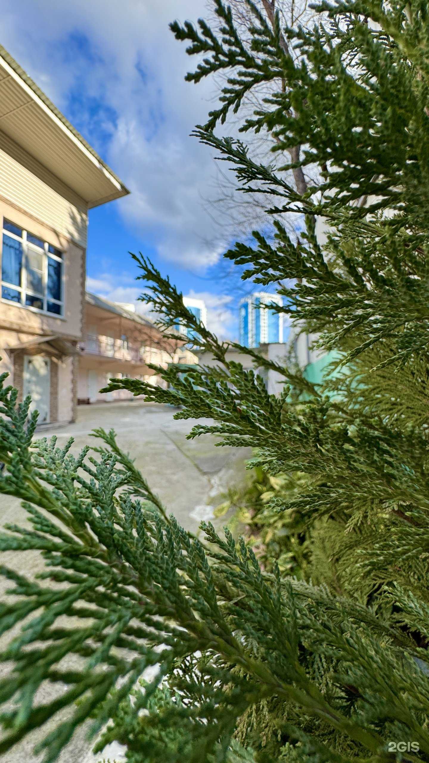 Отзывы на компанию Семейный остров в г. Сочи c фото