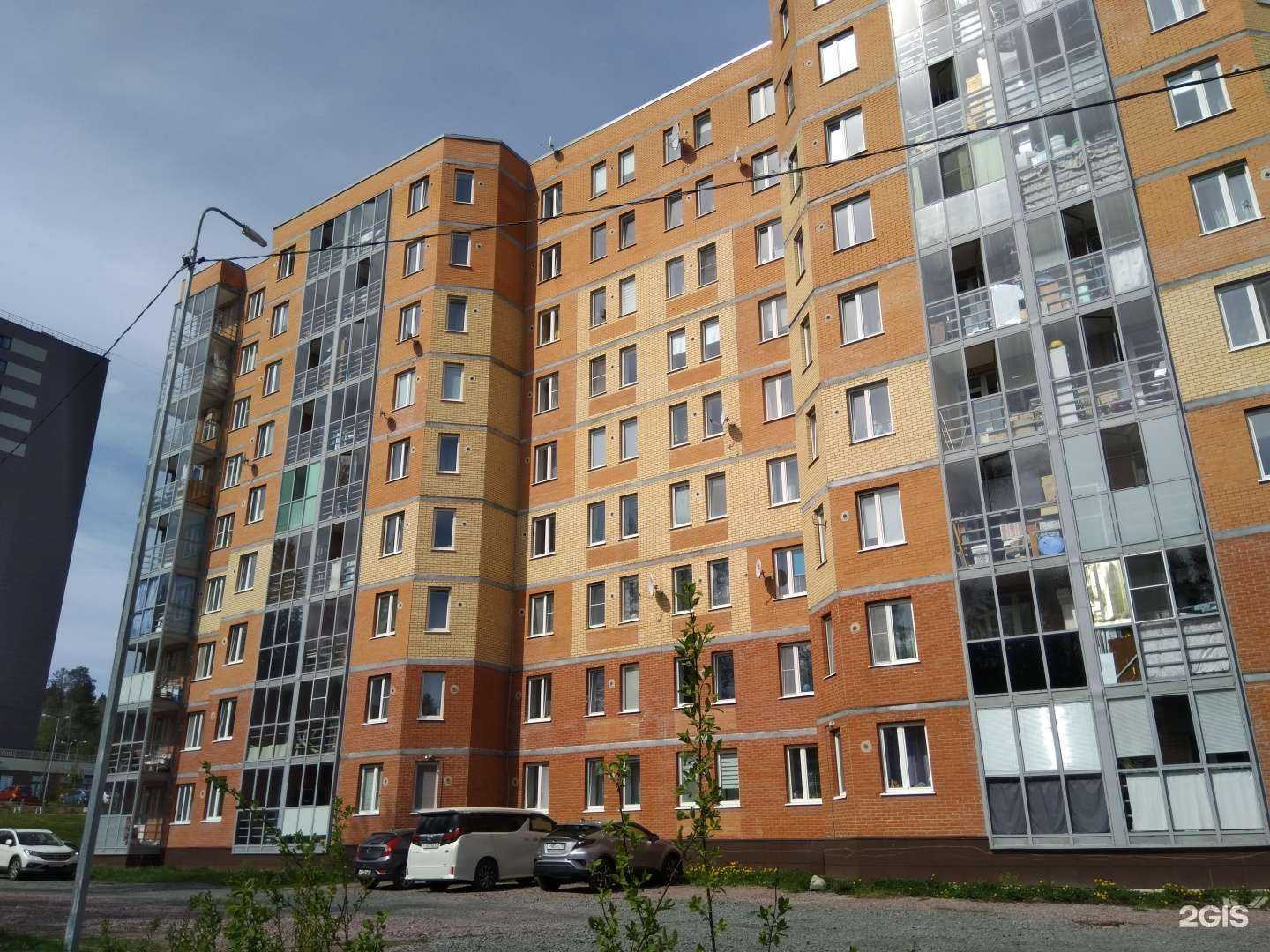 Отзывы на компанию Perfect Balloons в г. Петрозаводск c фото