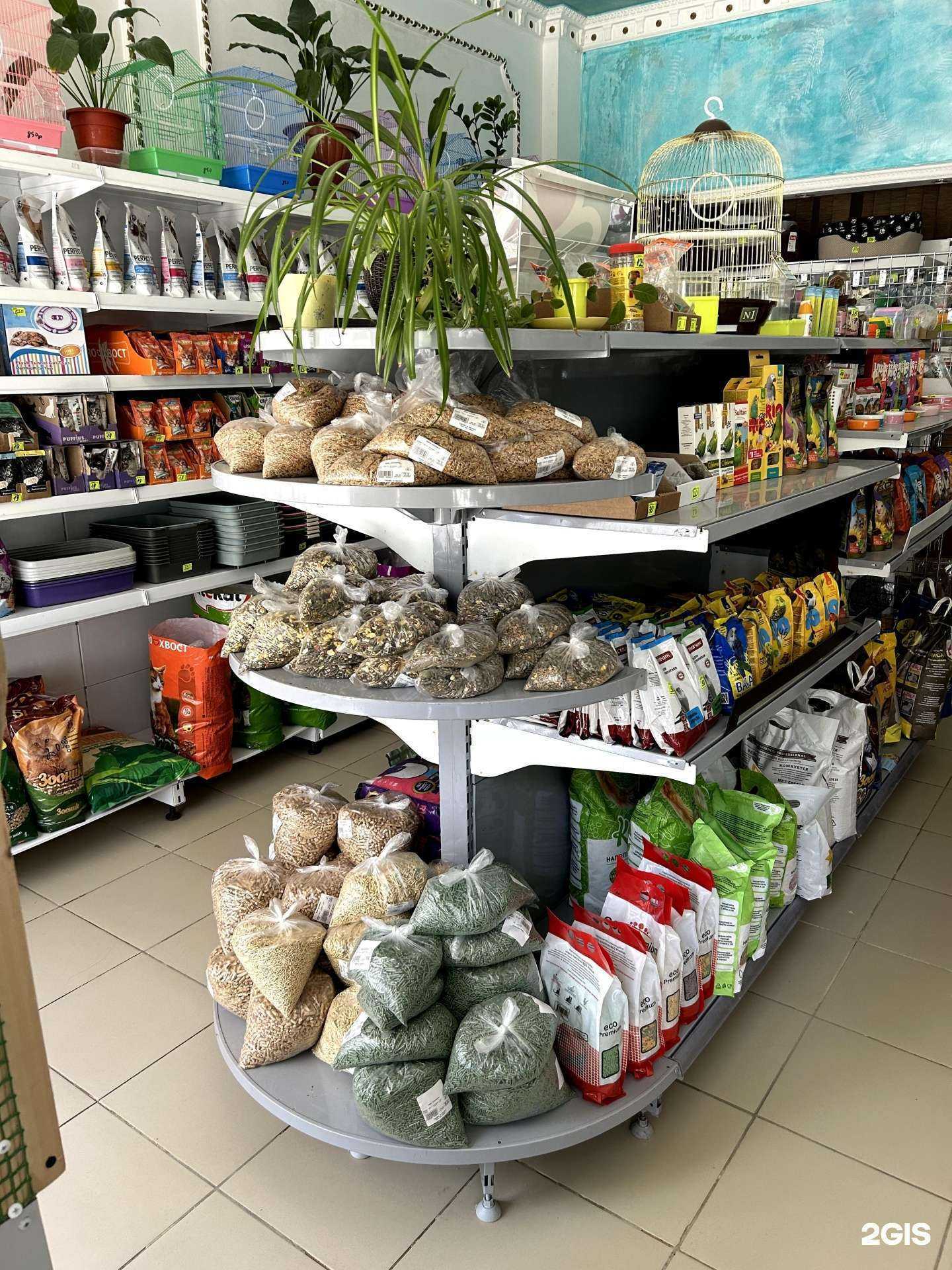 Отзывы на компанию ЗооЧудеса в г. Махачкала c фото