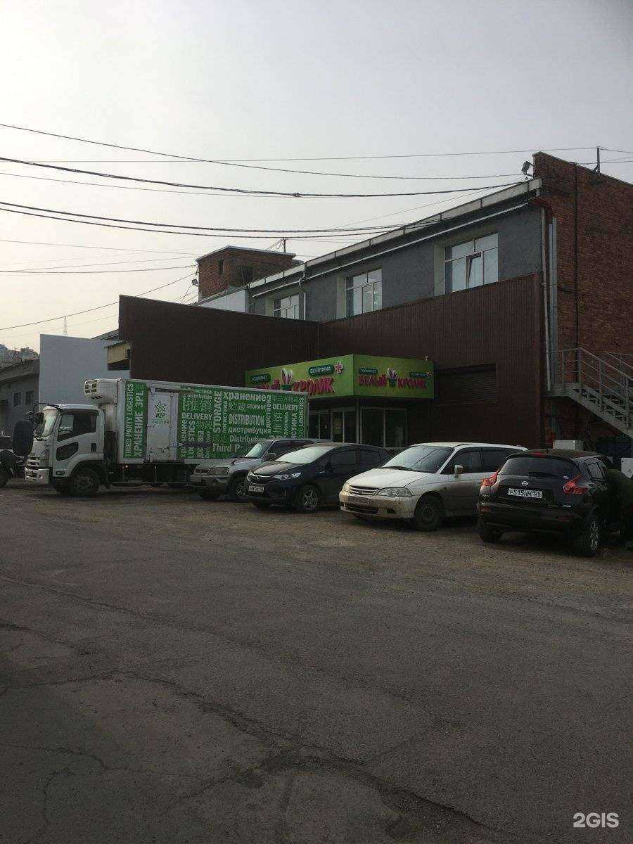 Отзывы на компанию Белый кролик в Владивостоке c фото - фотография 2 из 2