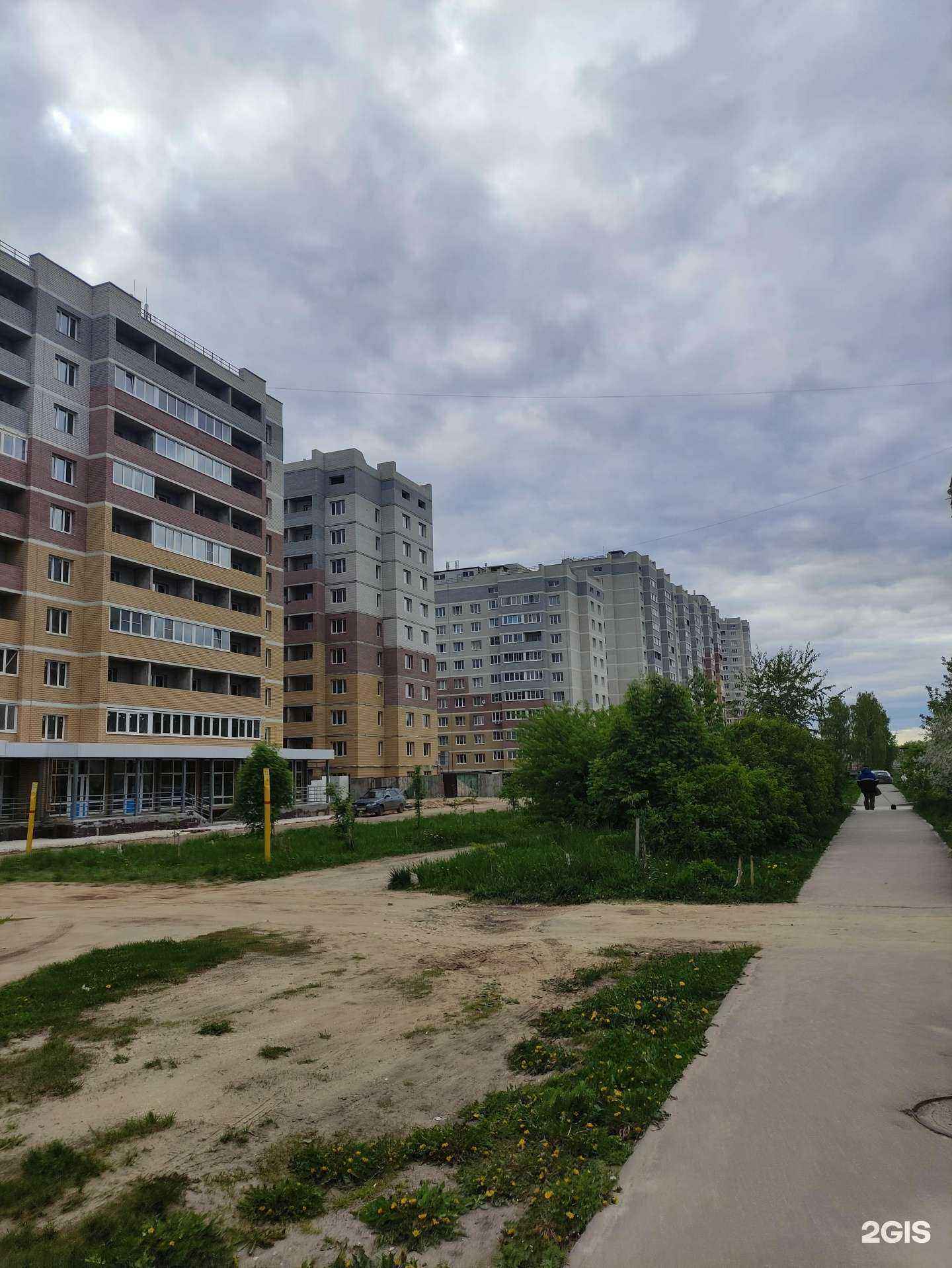 Отзывы на компанию Bloom в Коврове c фото - фотография 2 из 2