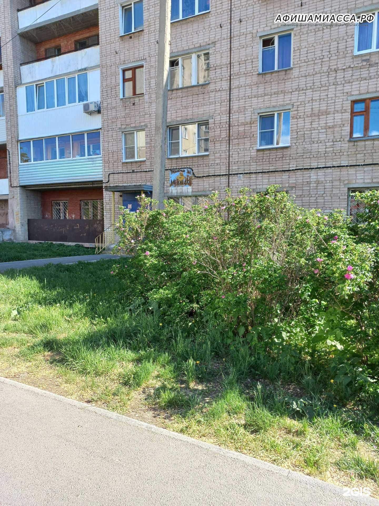 Отзывы на компанию Медведь в Миассе c фото